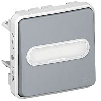 Кнопочный выключатель с подсветкой (Н.О.+Н.З. контакты) с держателем этикетки - Программа Plexo - серый - 10 A | код 069544 |  Legrand